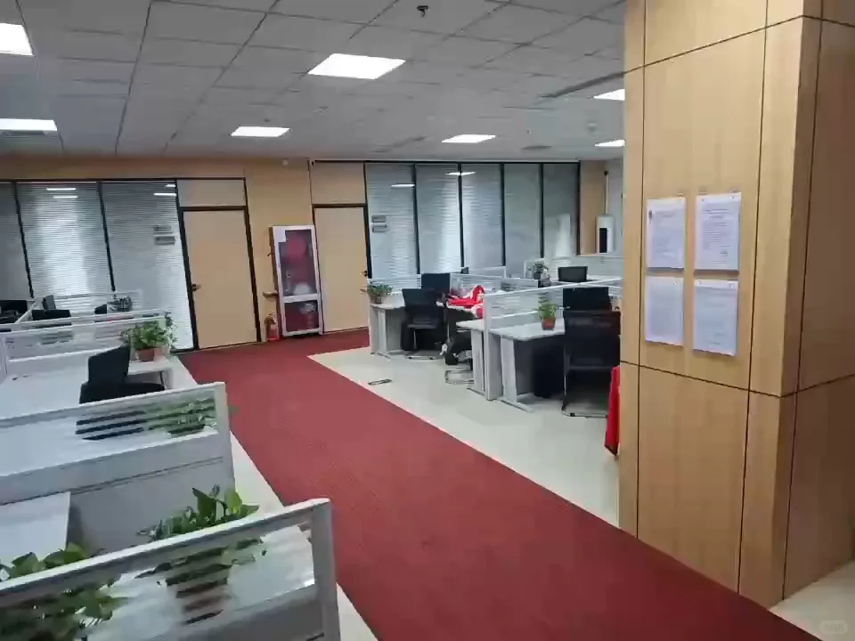 这间办公室真的好好看!!