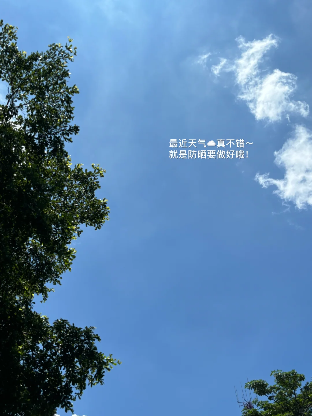 95年 月薪2?｜6月里，能多睡20分钟的幸福感