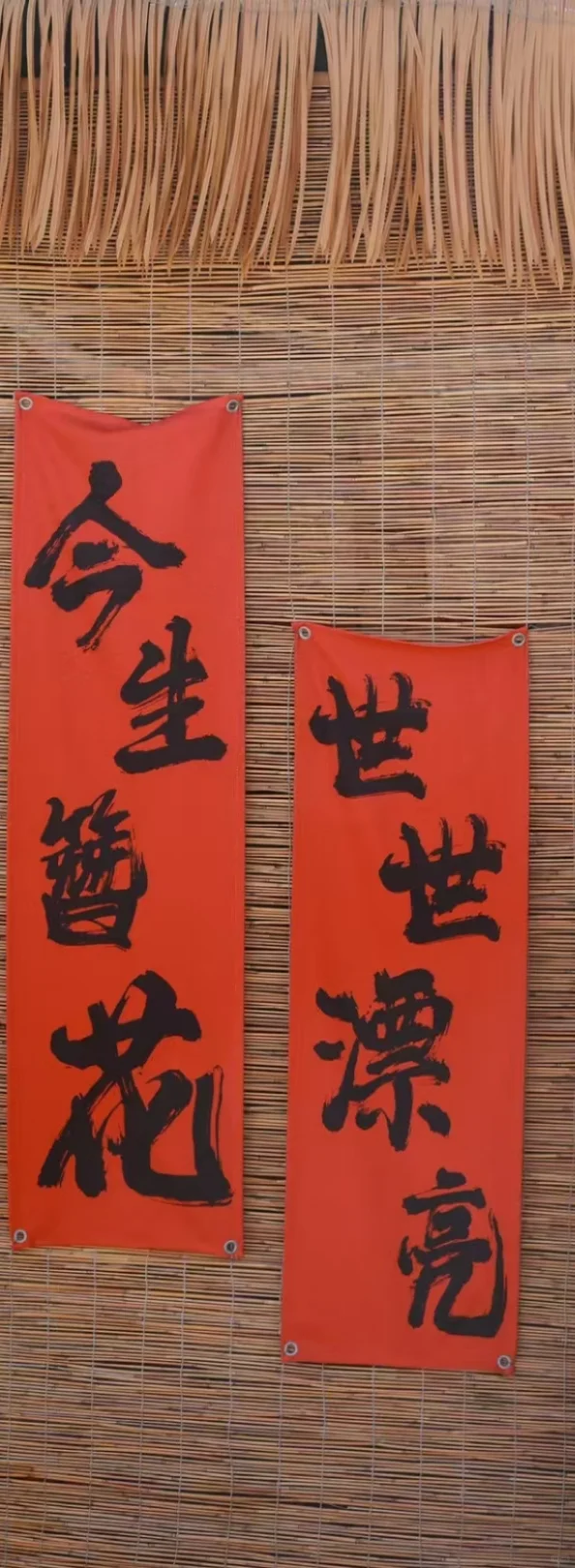 来这里