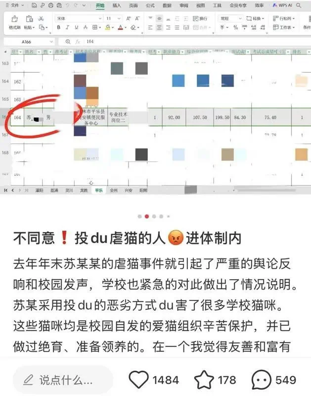 虐猫男子考上事业编?当地:是同一个人
