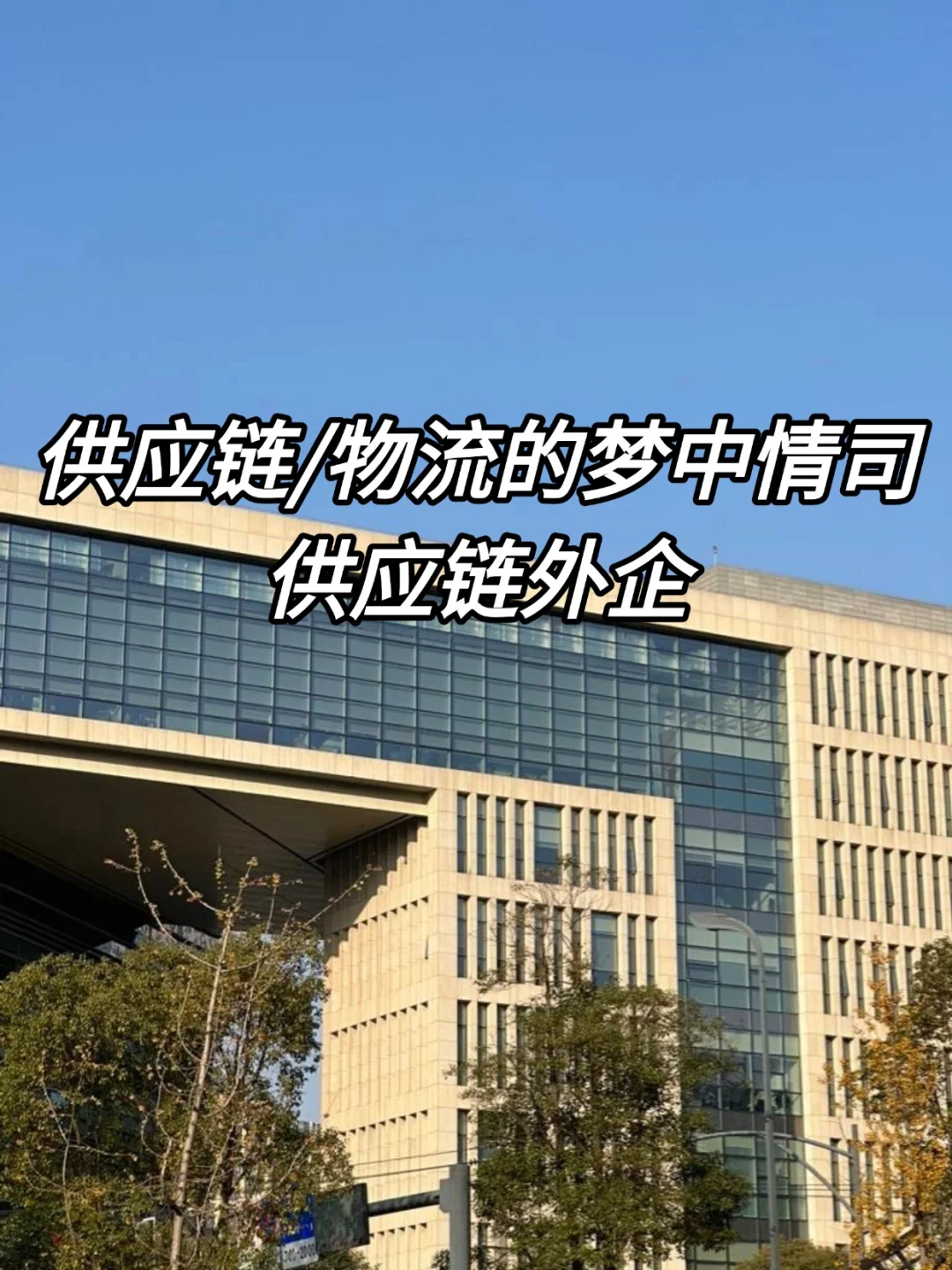 供应链/物流的梦中情司—供应链外企