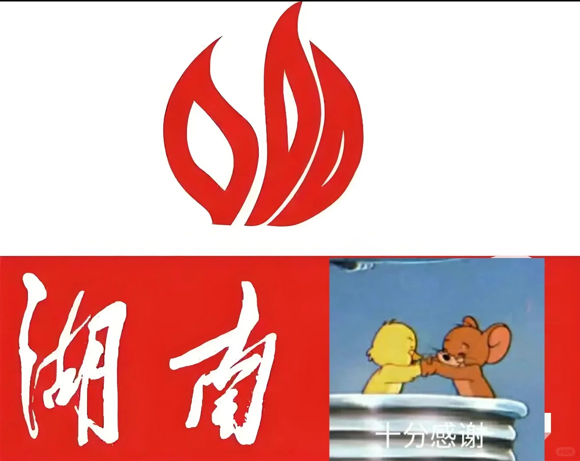 湖南某报，本科以上，男女不限！