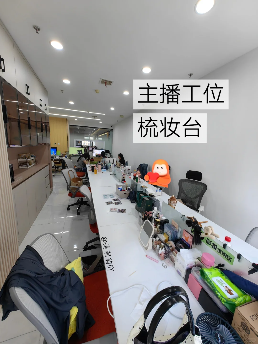 石家庄招聘美女主播啦！