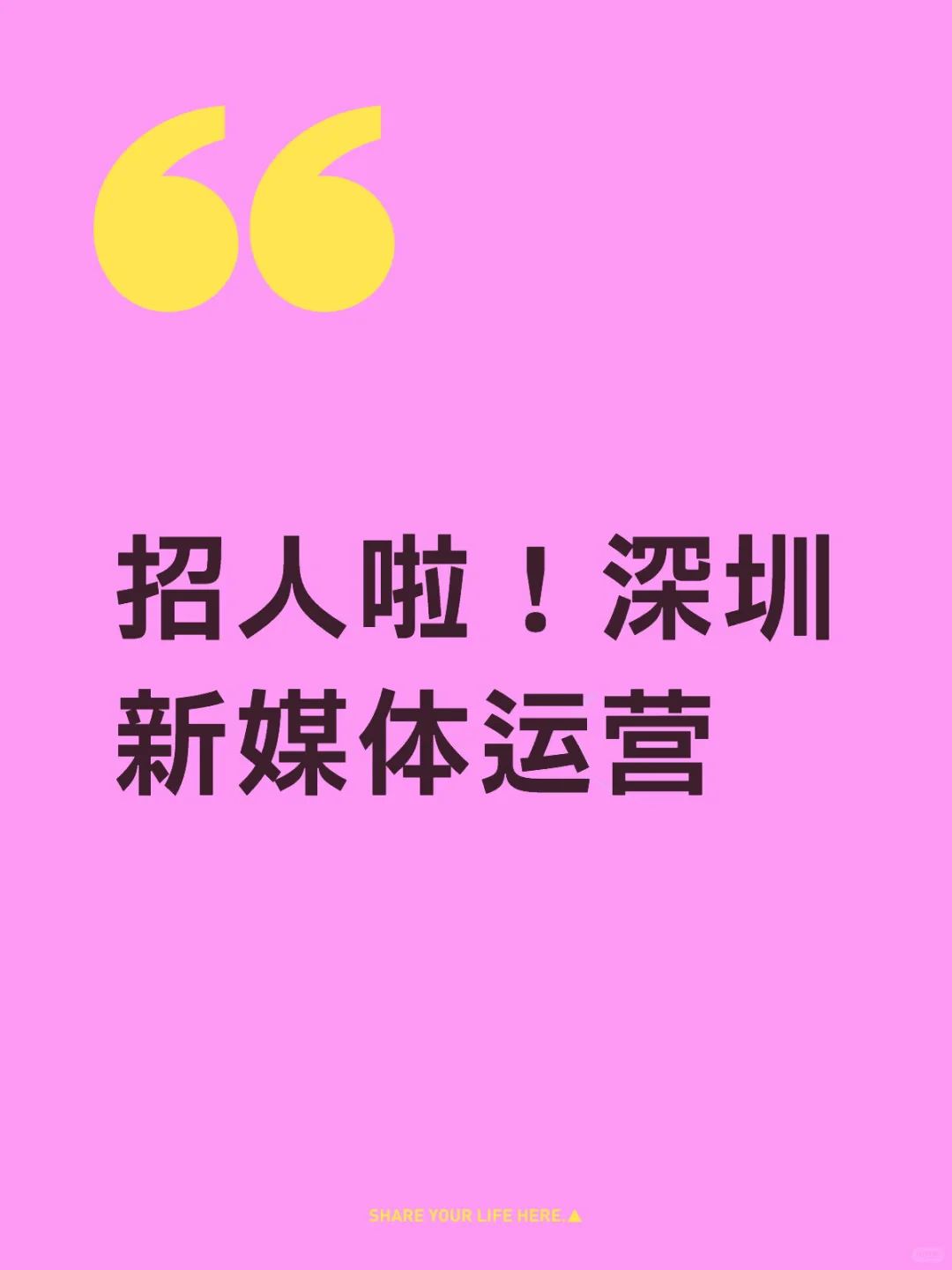 招人啦!深圳新媒体运营!高薪