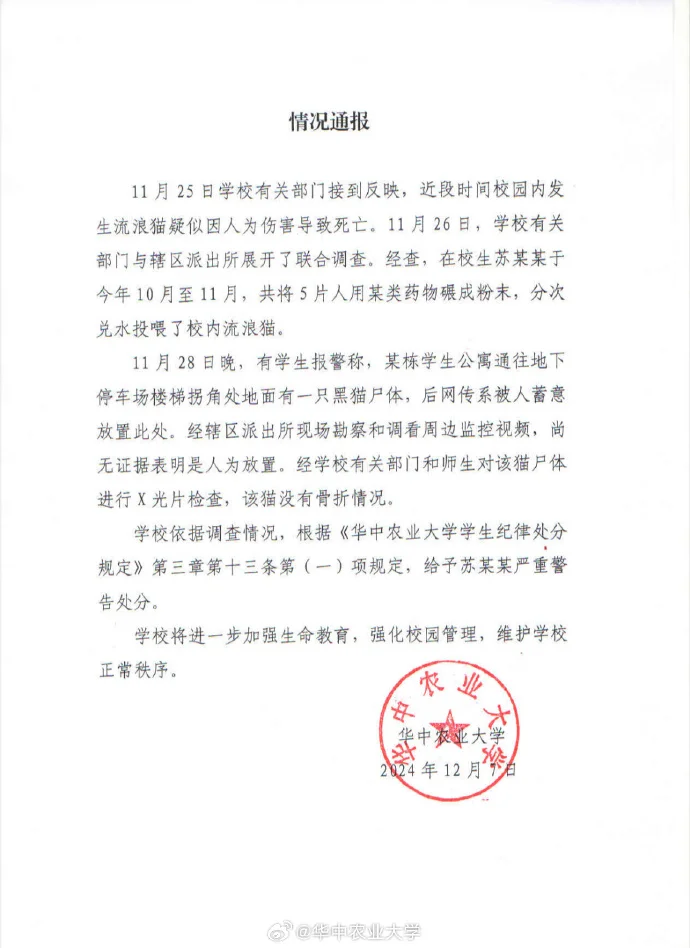 事业单位招录考察人选被指曾虐猫,当地回应→