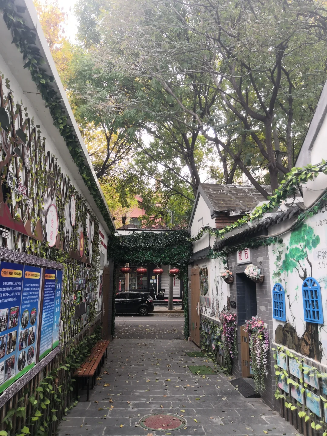青合家园，独占鳌头