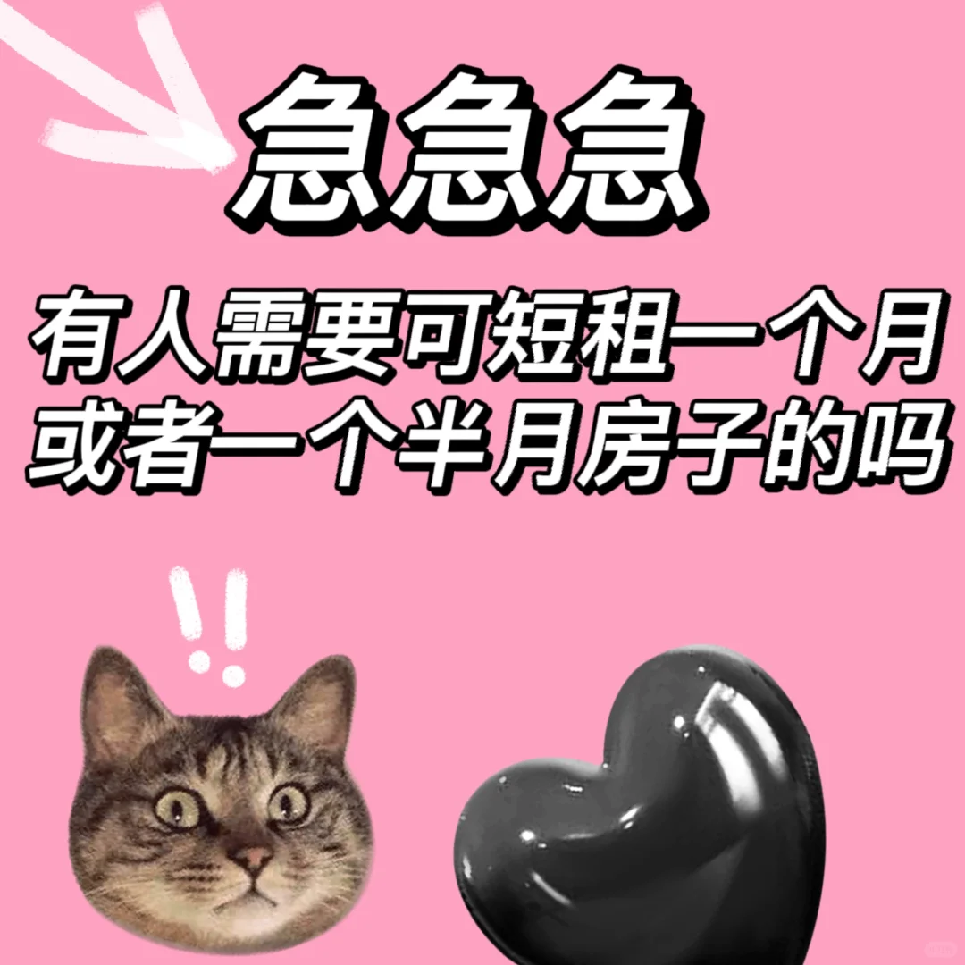 急招短租一个月的友友