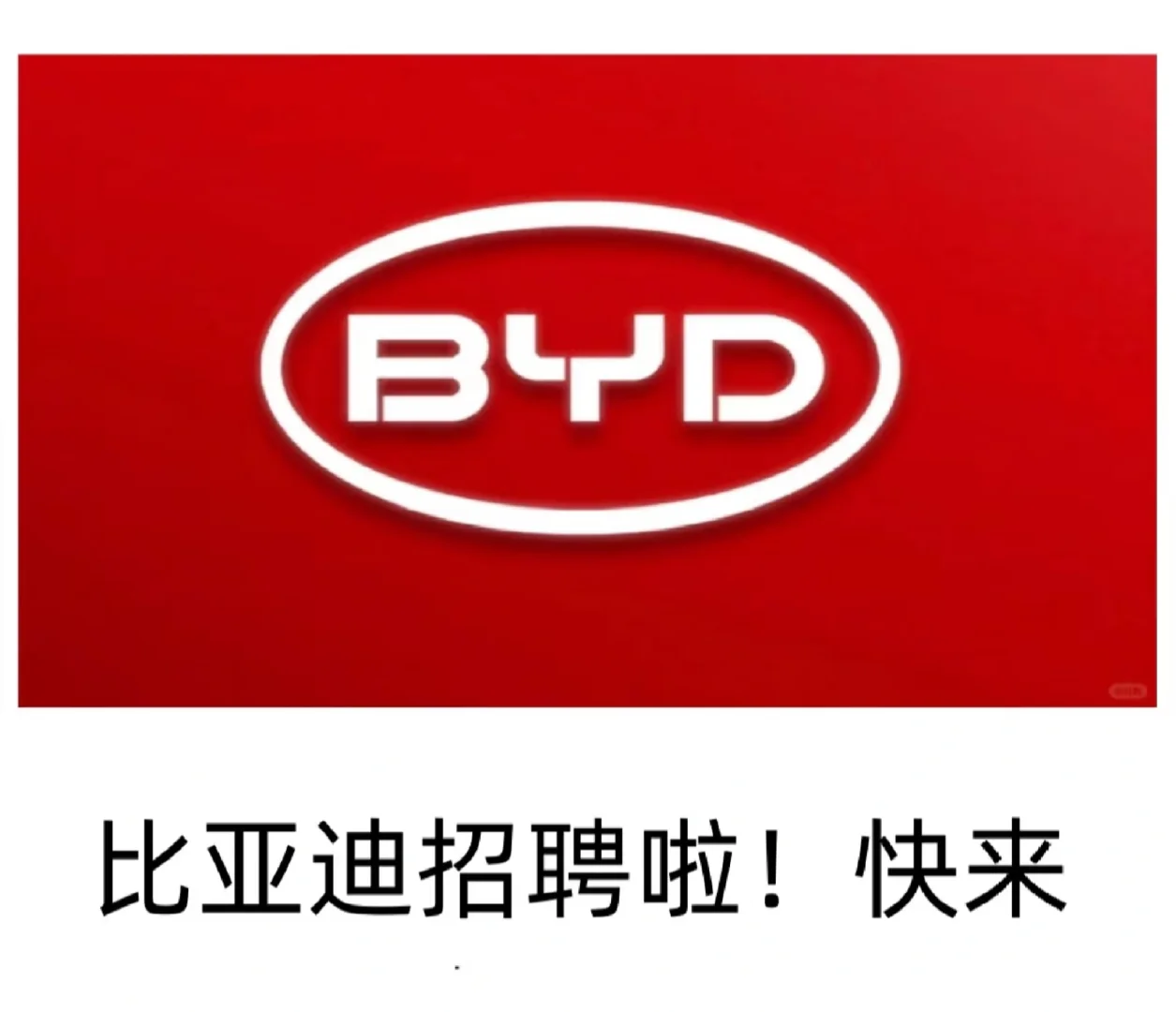 比亚迪2026届全球校园招聘计划及薪资待遇