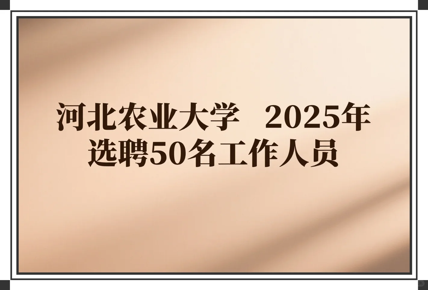 又来选聘了!河北农业大学,无笔试!?