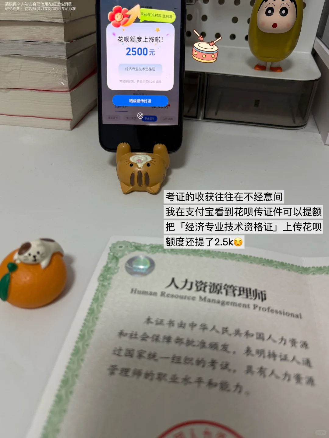 体制内已考完四类有用的证✌️ 花呗都提额了