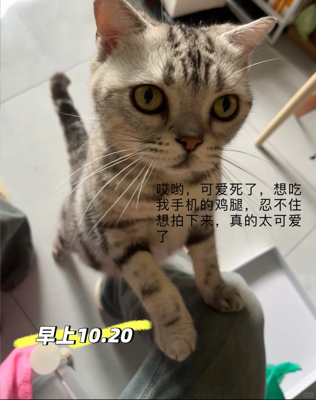 带货主播如何找兼职