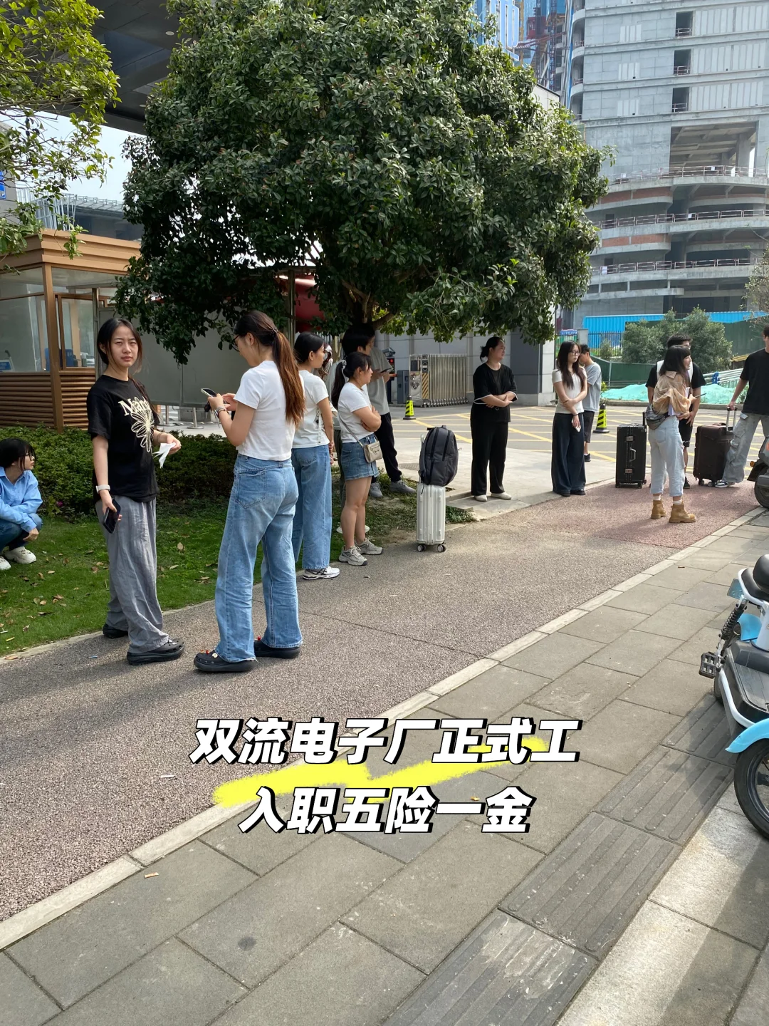 双流正式工:入职五险一金