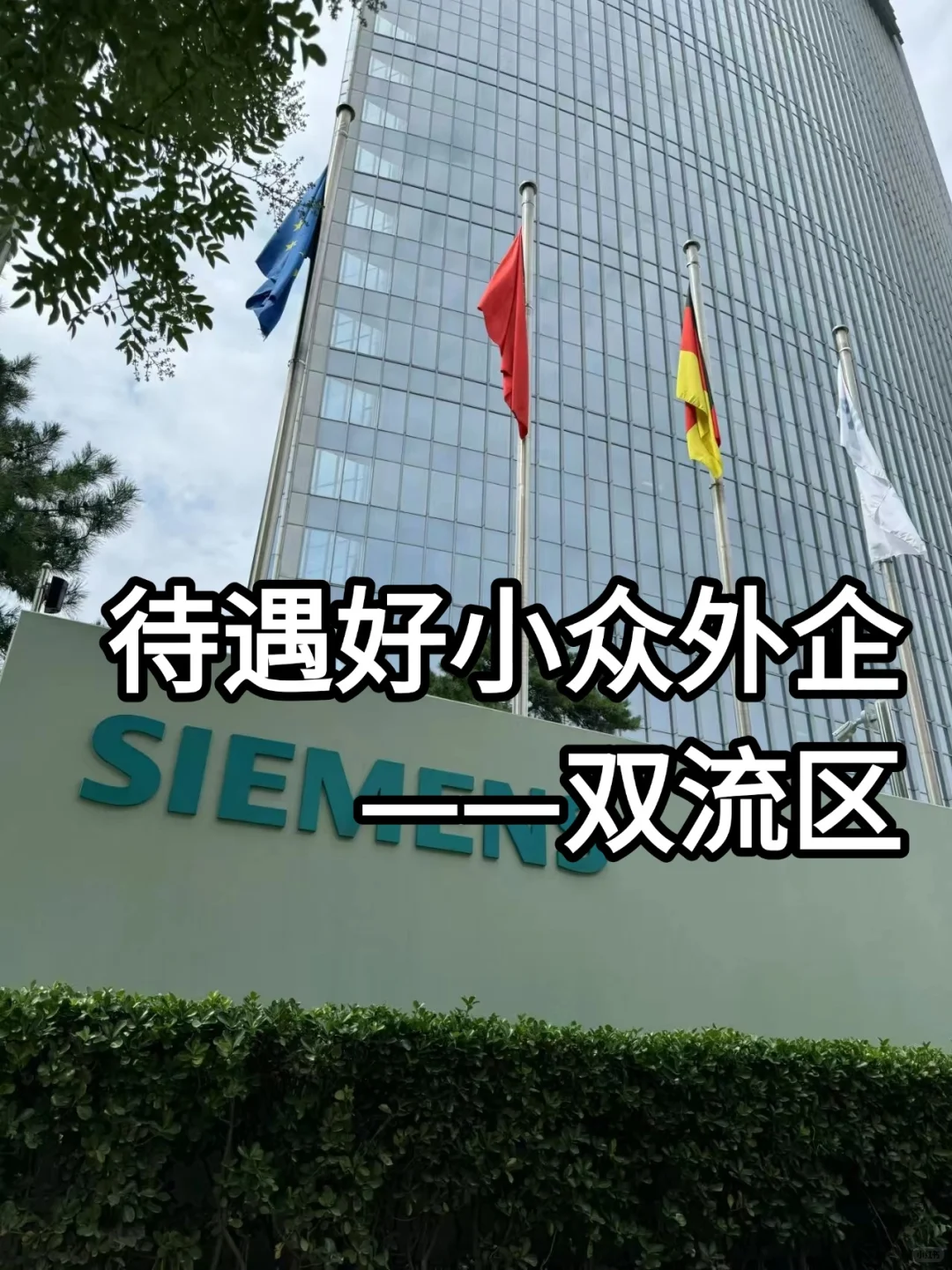 待遇好小众外企——双流区