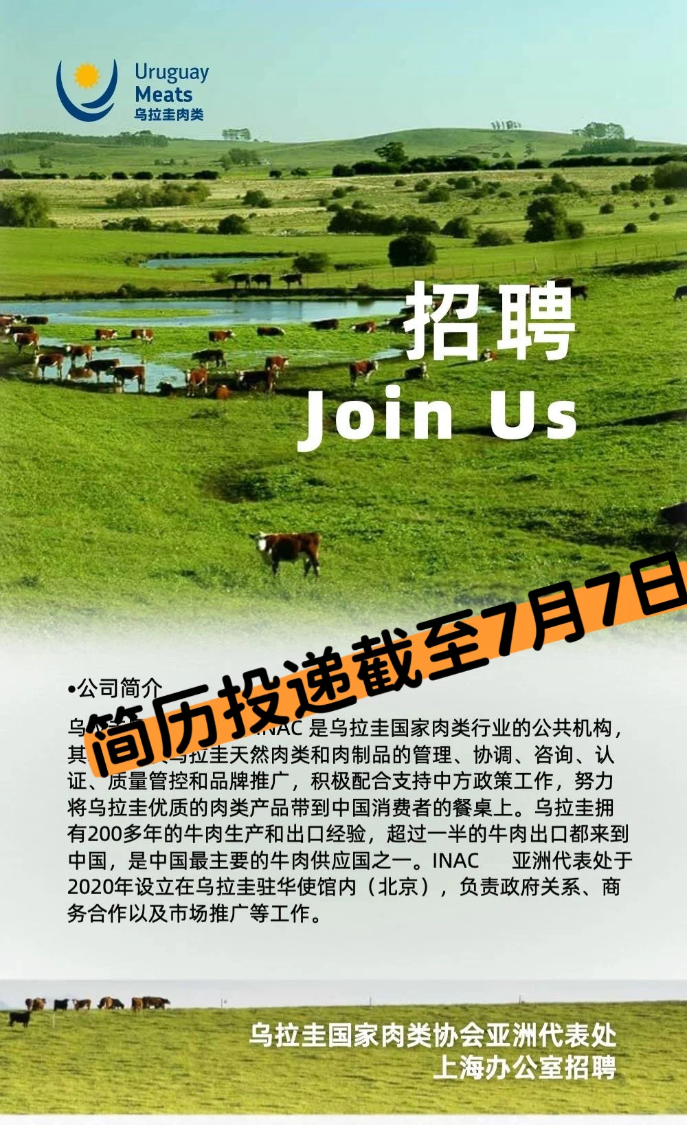 西语工作机会|西班牙??和乌拉圭??