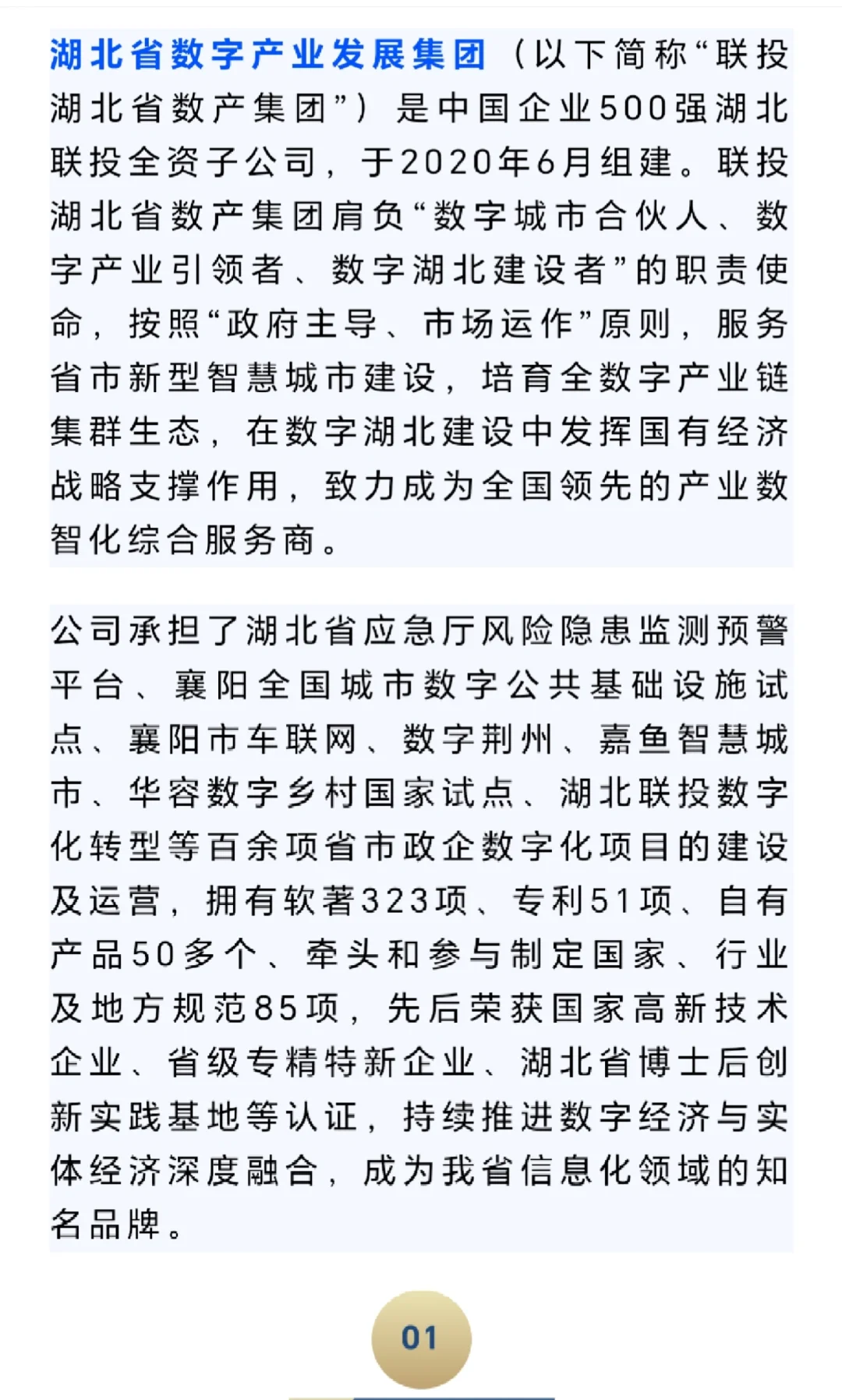 湖北省数字产业发展集团招聘