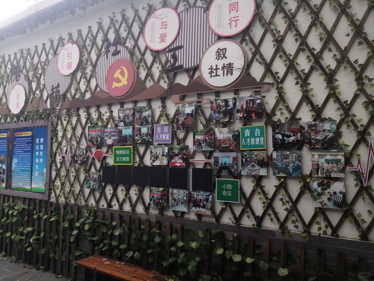 青合家园，独占鳌头