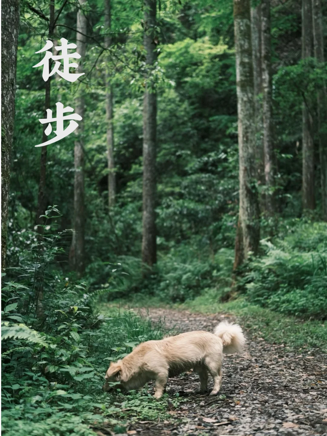 从逃避到担当:看躺平少年如何重获责任感