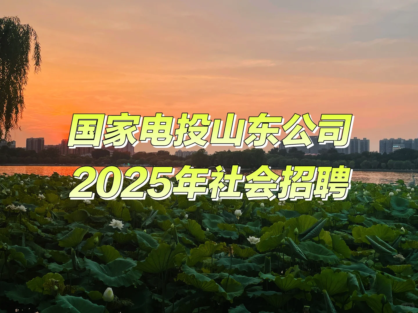 国家电投山东公司2025年社会招聘