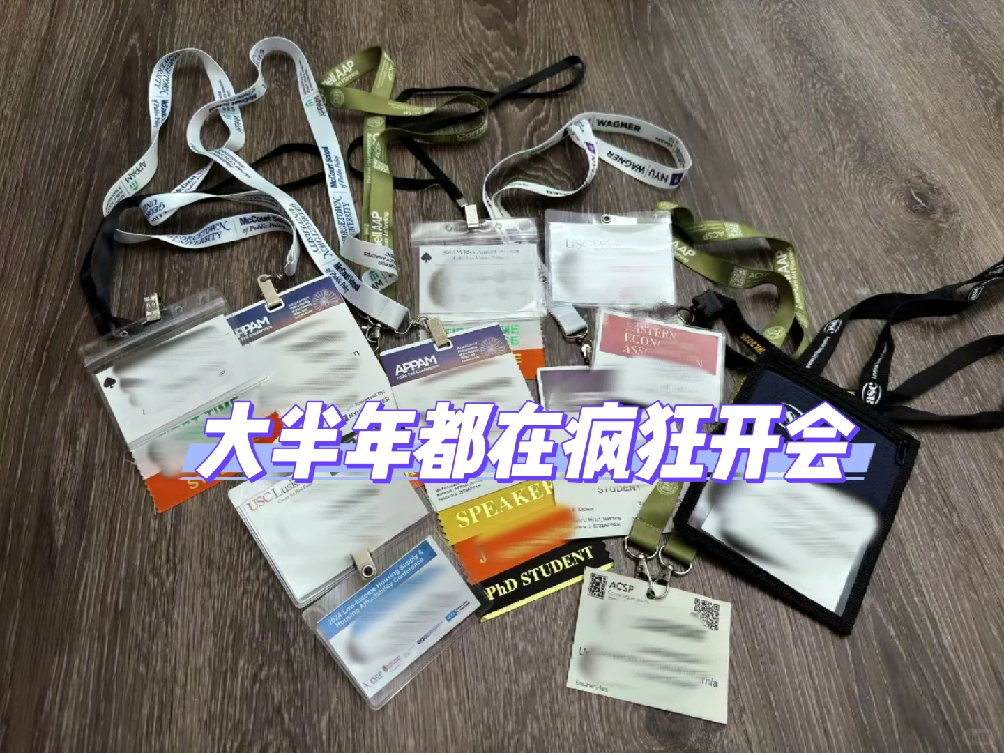 社科博士求职｜学界/世行/智库申请经历分享