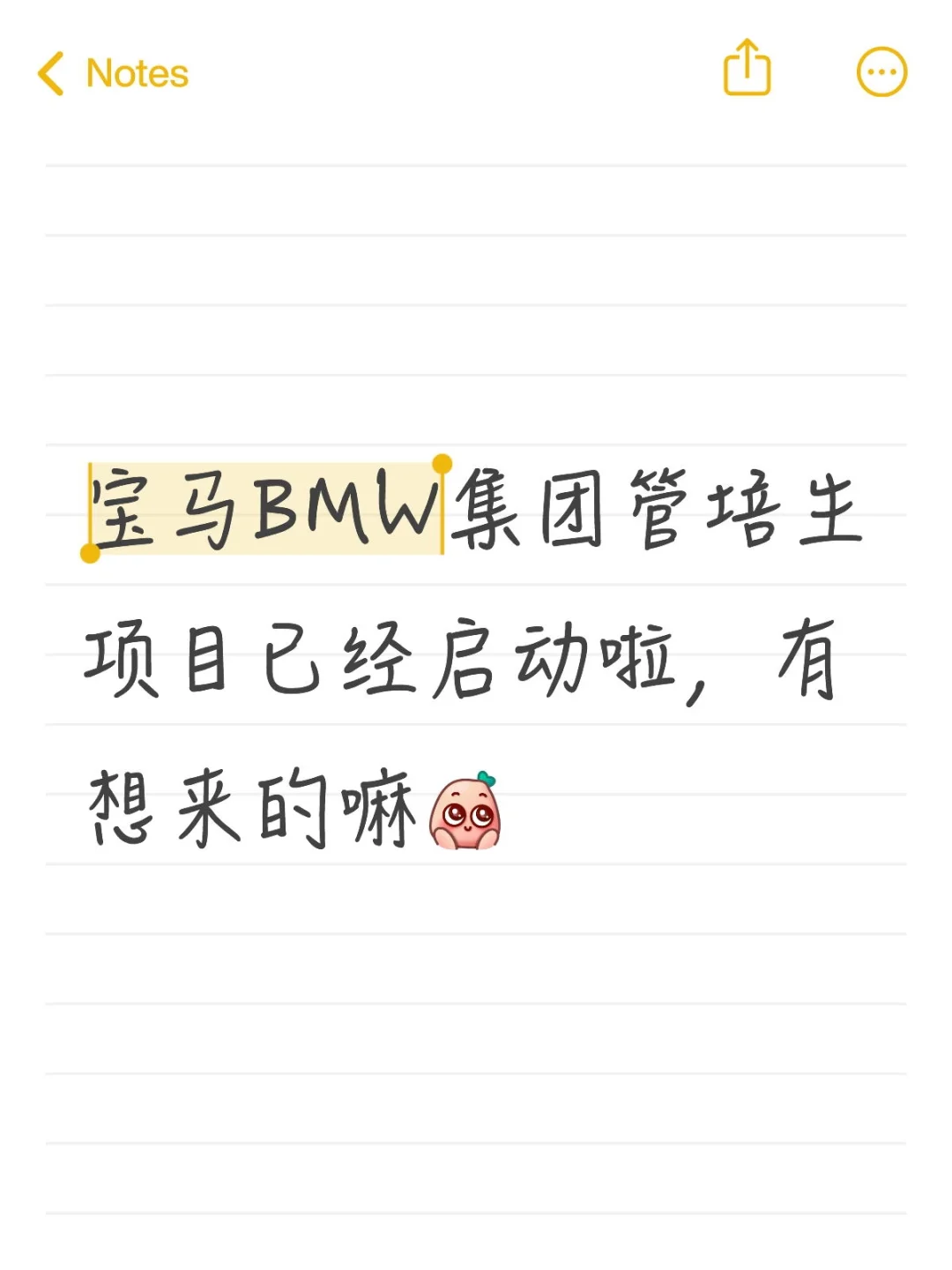 宝马BMW集团管培生项目启动