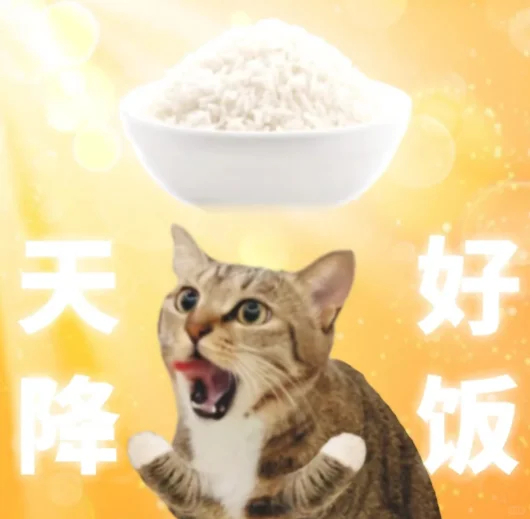 应届留子想要丝滑进大厂,可以试试...