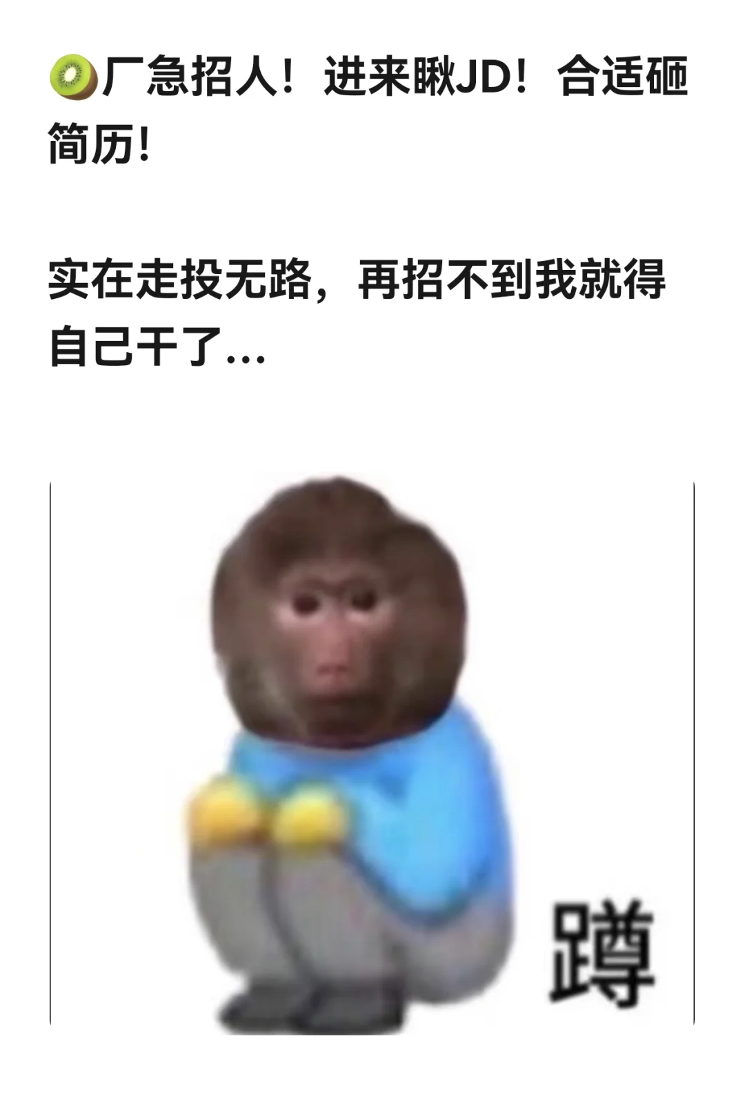再招不到人，只能我自己干了…