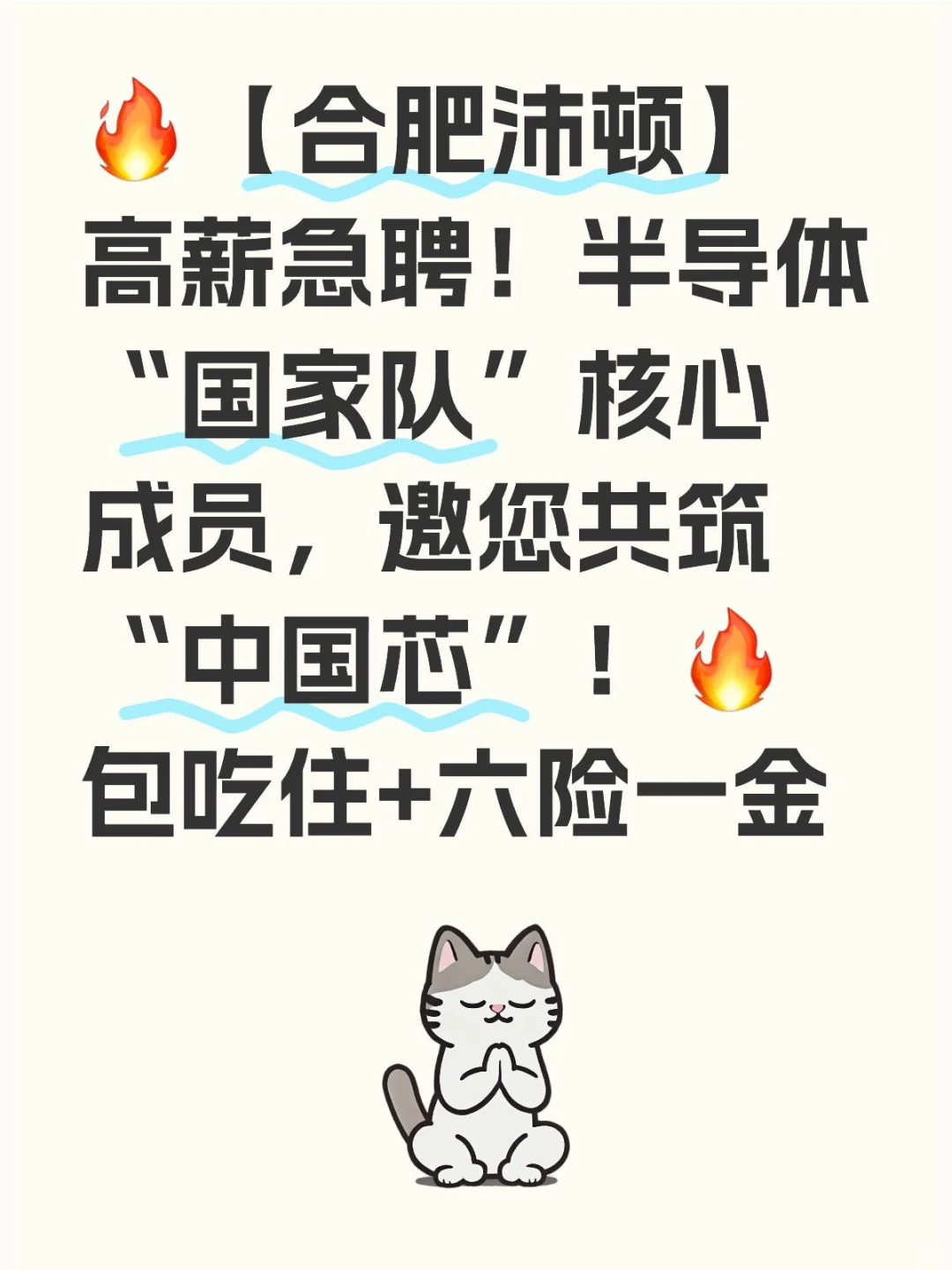 合肥沛顿存储招聘啦