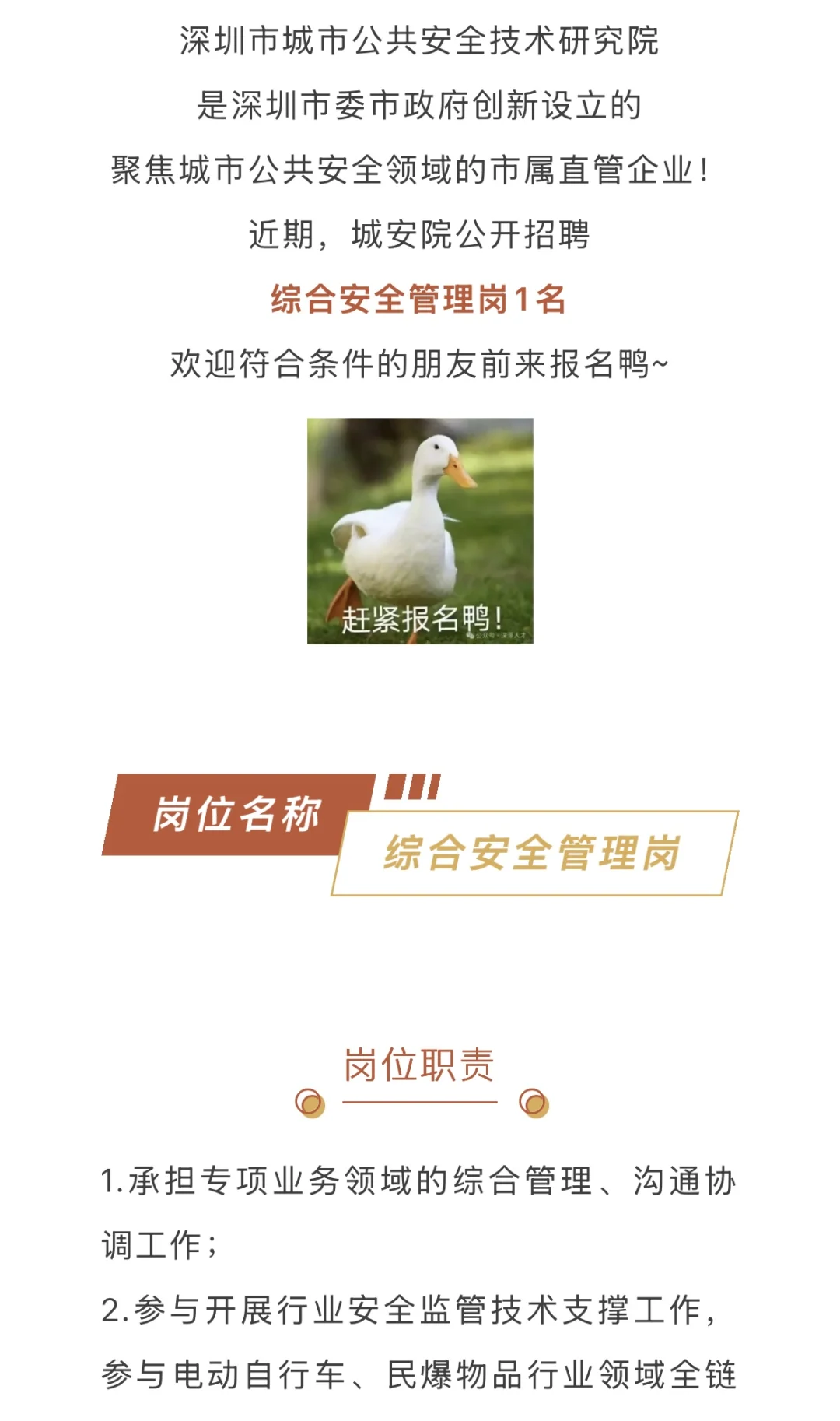 深圳市公共安全研究院招聘