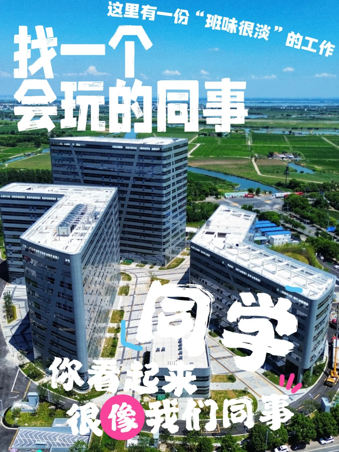 双休|招聘能把公司变“游乐园”的文化人!