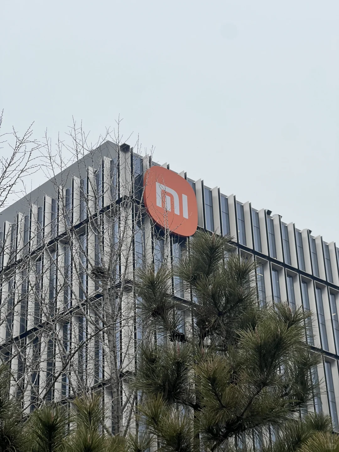 小米实习急招继任!下周到岗