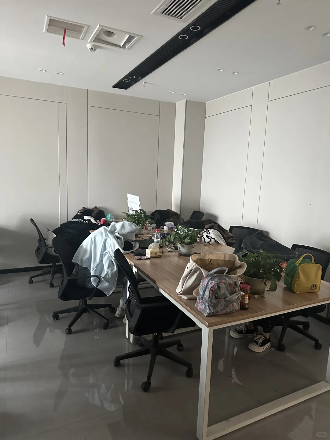 早九晚六周末双休公司还在招聘！法休正常