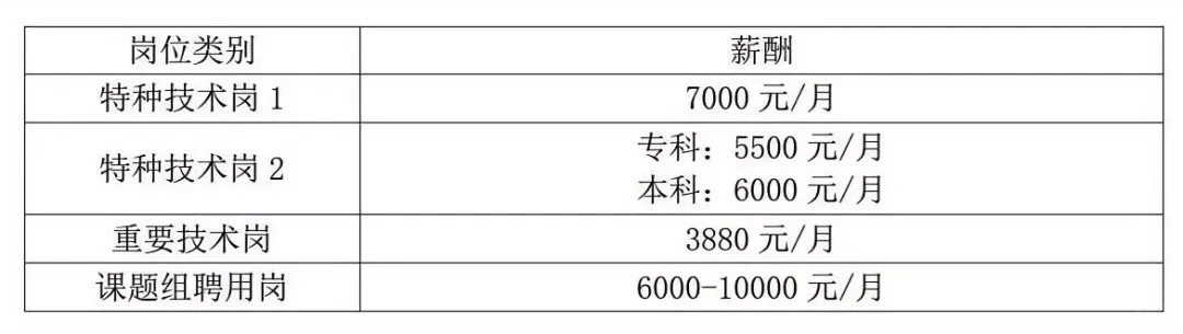 共计招聘12人，5个职位，专科有岗！