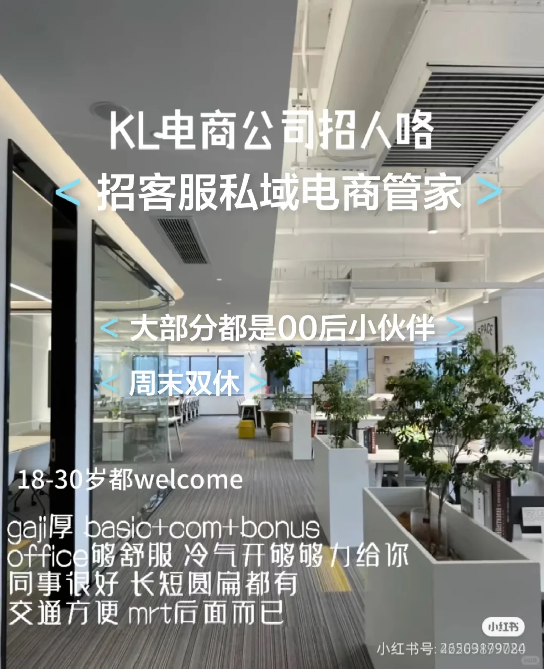 招人 00后团队 双休 早9晚6#招客服