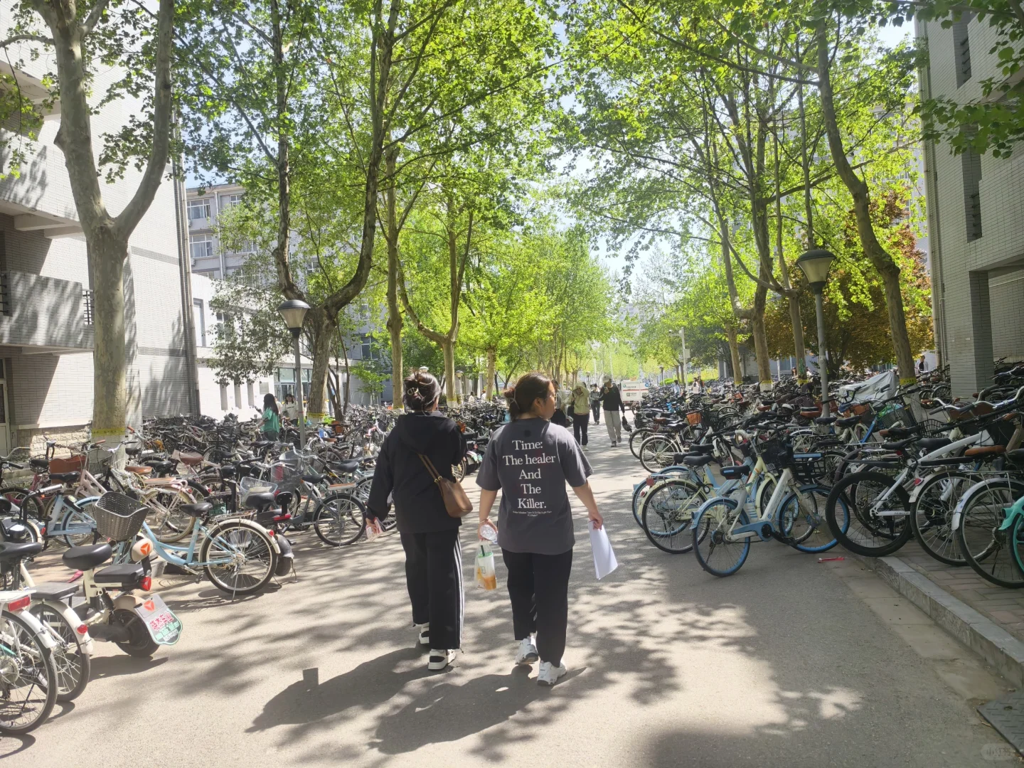 河北科技大学毕业生专场招聘会4.16