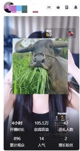 直播日常