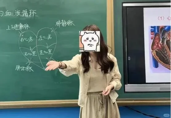 考官超喜欢的生物试讲故事导入,听到猛抬头
