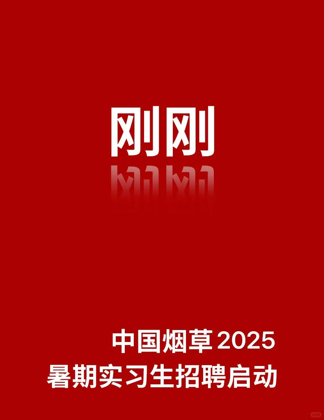 刚刚,中国烟草暑期实习启动!