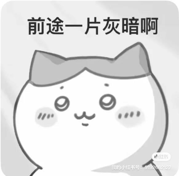 刚毕业没工作 靠直播养活自己第二天