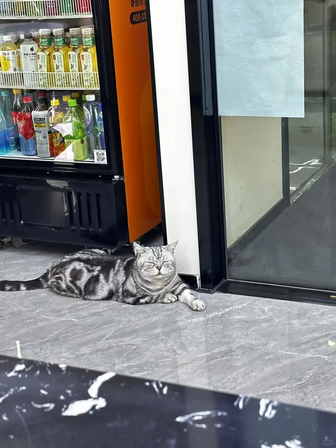 boss已读不回，智联失联