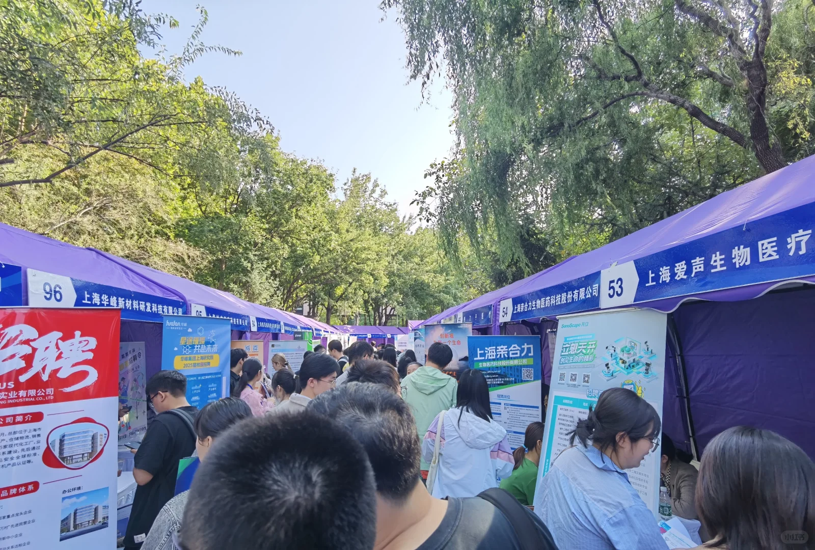 清华招聘会:金融企业无人问津