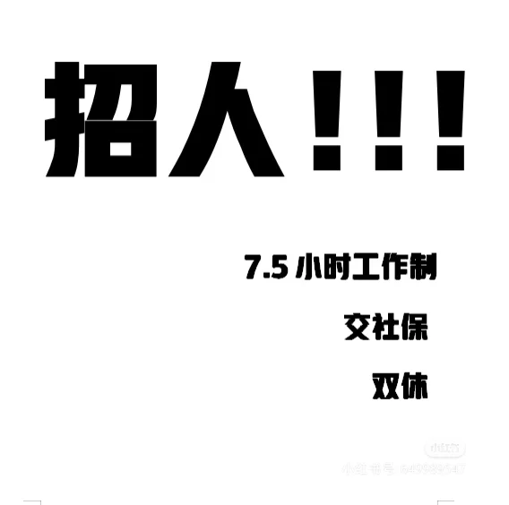 求一名工作搭子！