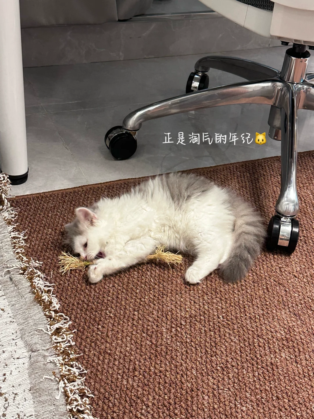 工作丢了