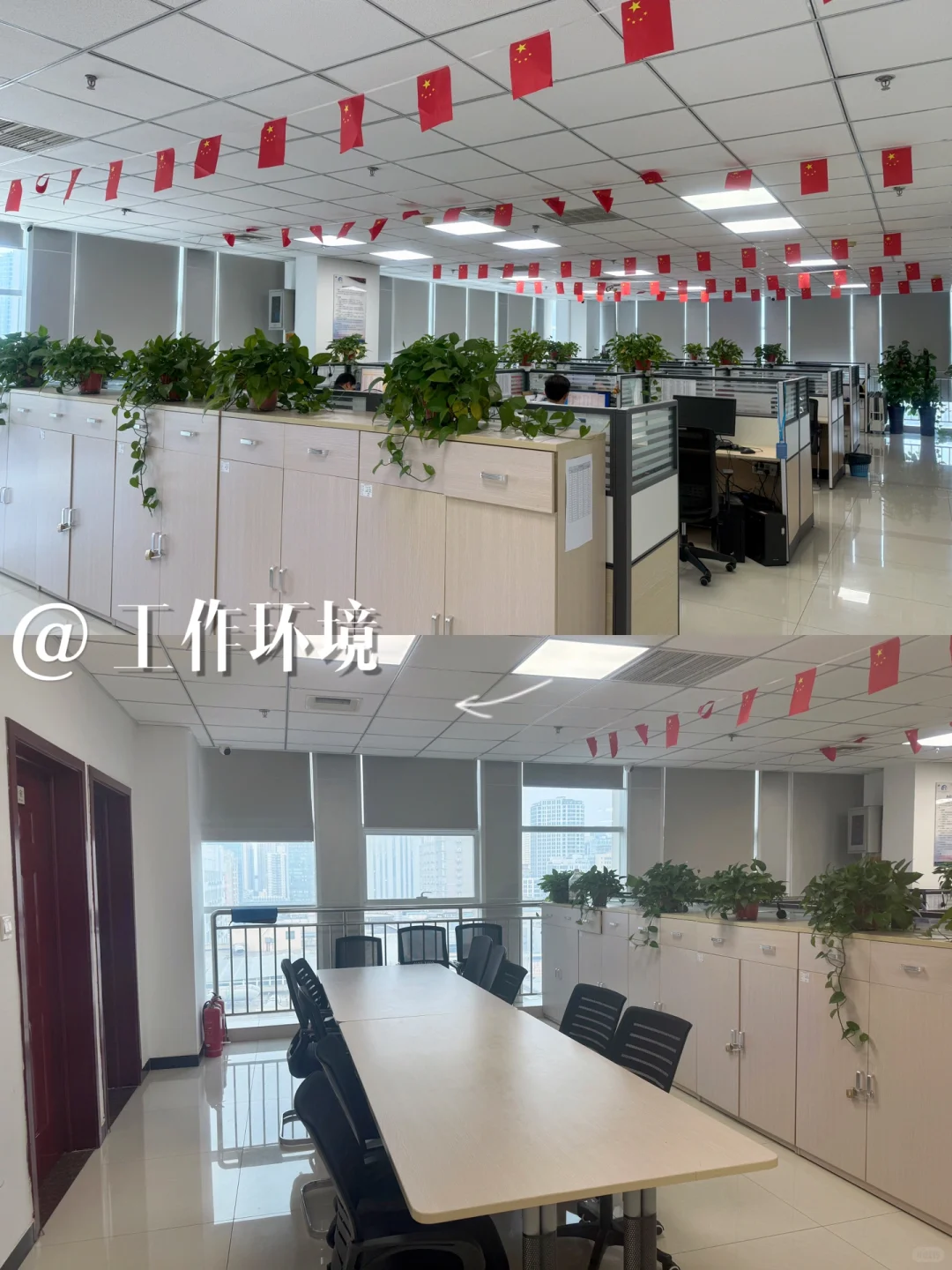 低学历逆袭指南‼️这家公司真的值得