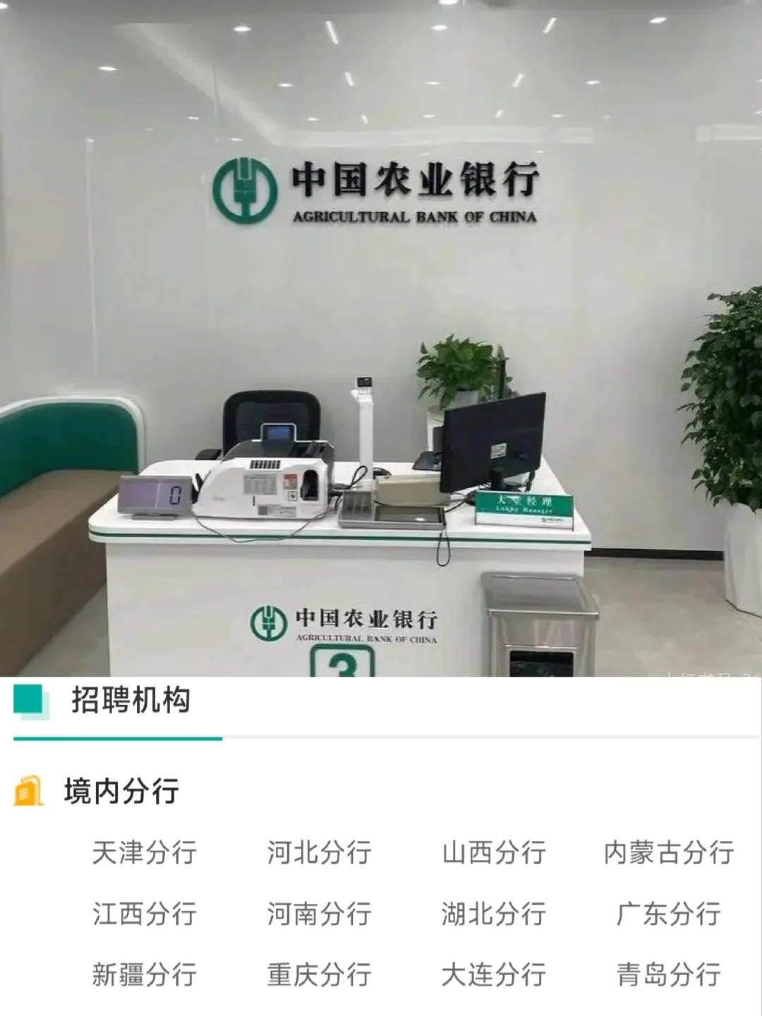 应届生有能来农业银行实习的，可无经验