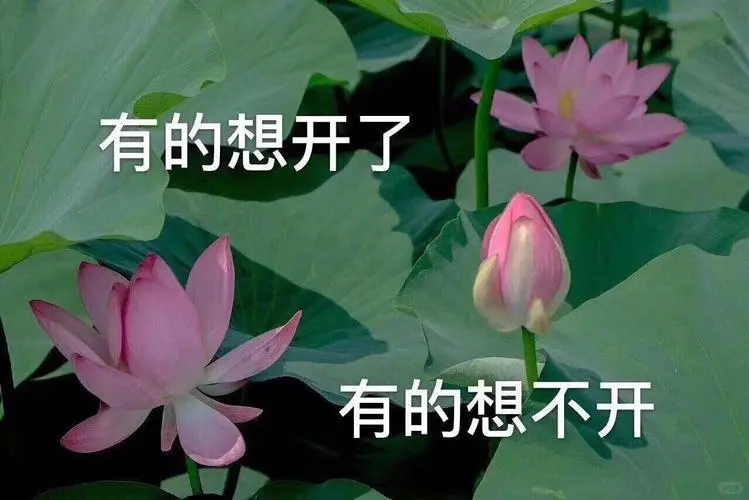 线上求职这么普及，还是取代不了线下招聘会