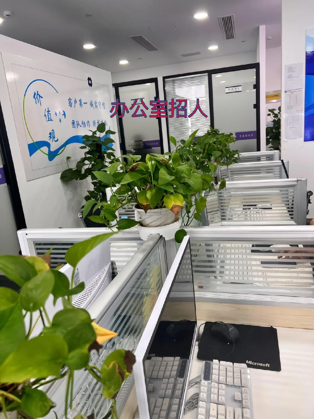 办公室招人