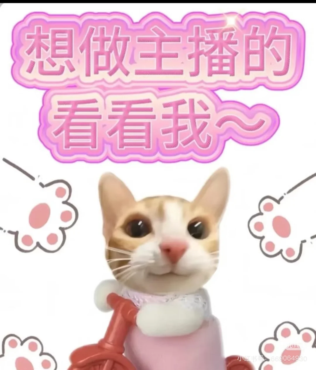 想要做主播的看这里～