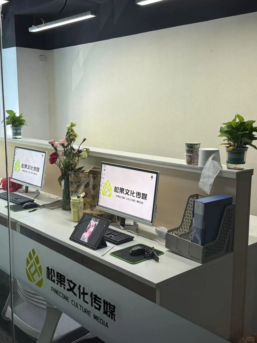 00后找不到工作？快来！等你加入