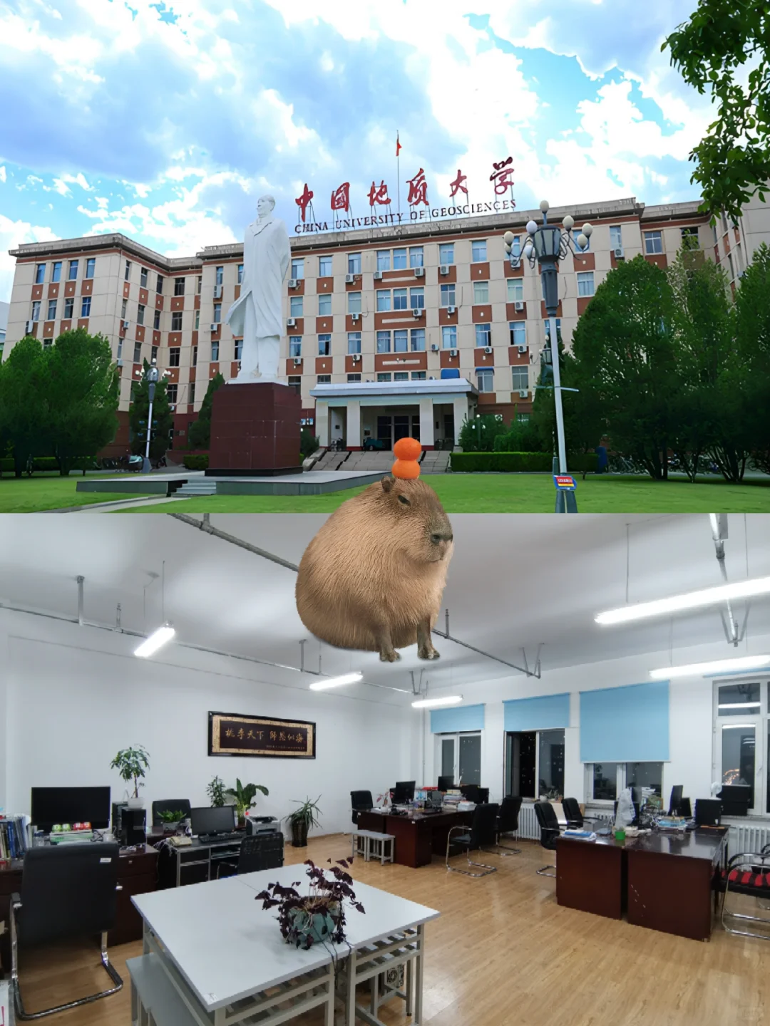 中国地质大学招聘教学秘书,待遇好,硕士冲