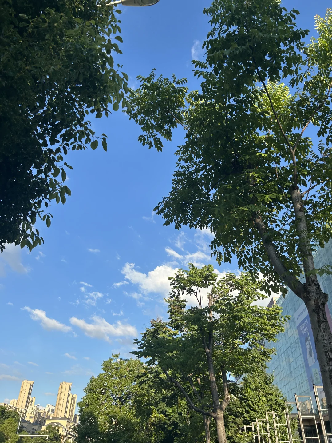 汉阳分公司招聘(内部直招)
